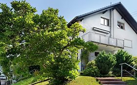 Ferienwohnung Das Nest