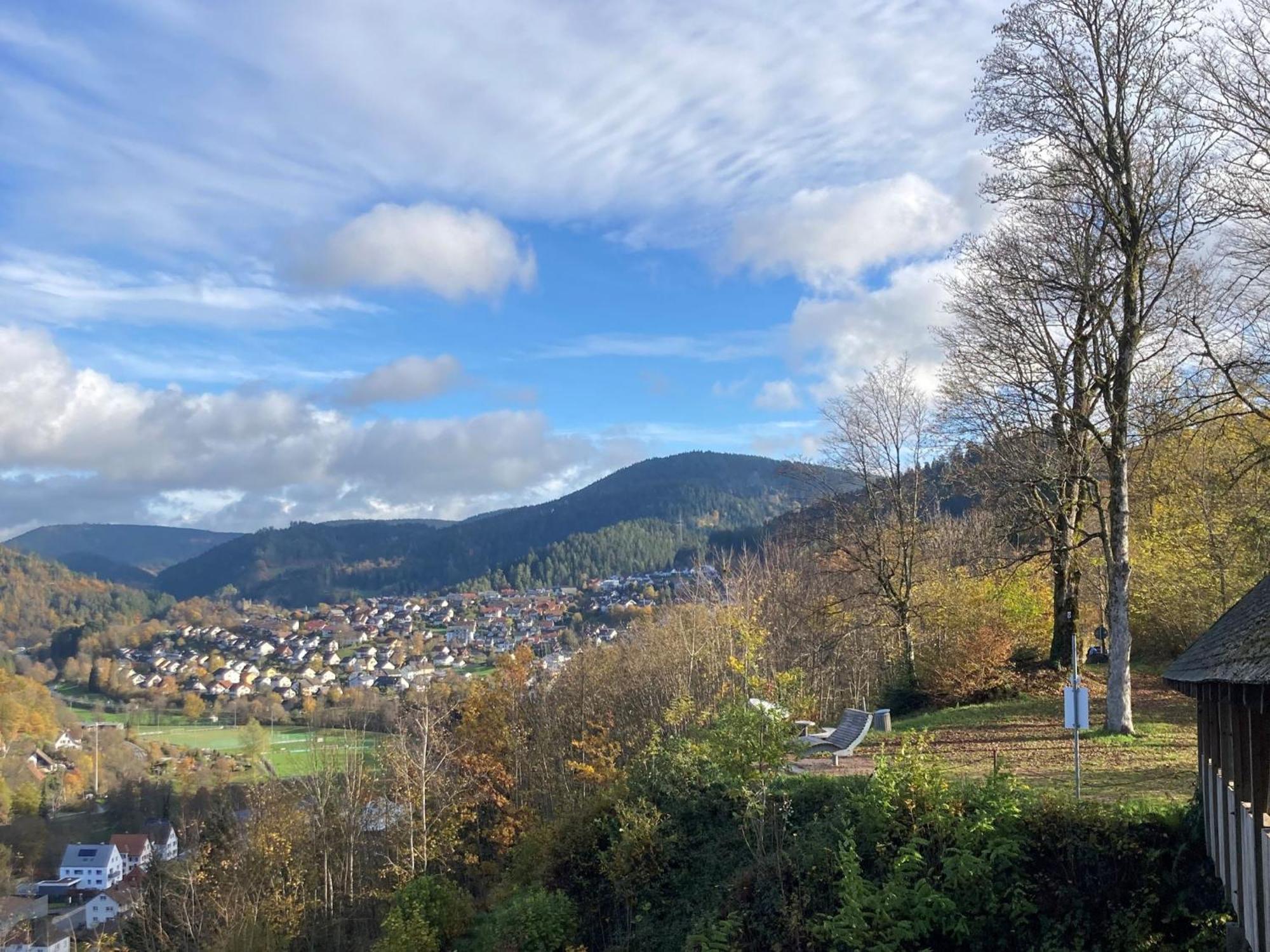 Ferienwohnung Das Nest Schiltach Exterior foto
